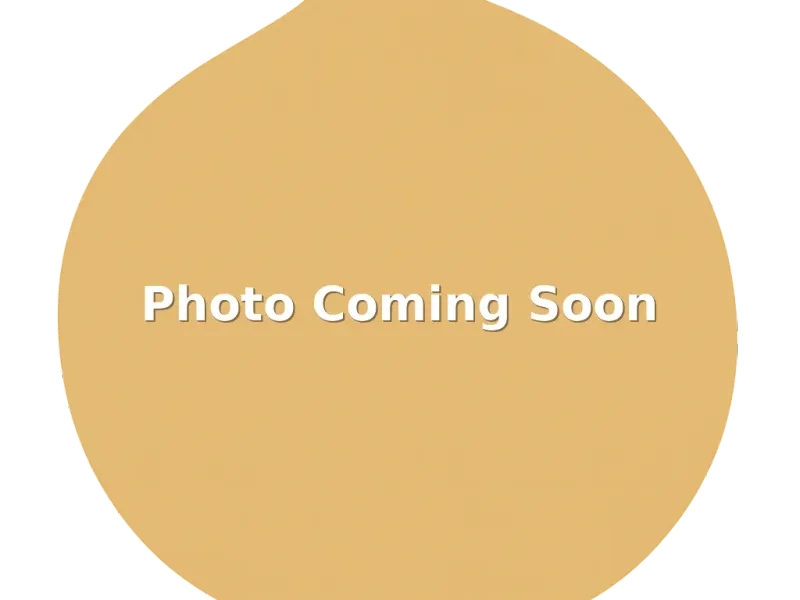 Stuffed Grape Leaves / Dolmas (6) with Pita and Taziki Sauce menu item